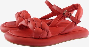 D.MoRo Shoes Sandals 'LEFORA' in Red: front