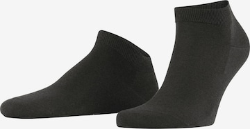FALKE Socken 'ClimaWool' in Grau: Vorderseite