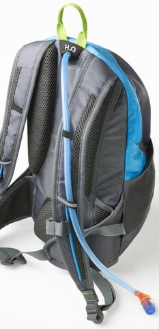 FISCHER Fahrräder Backpack in Grey