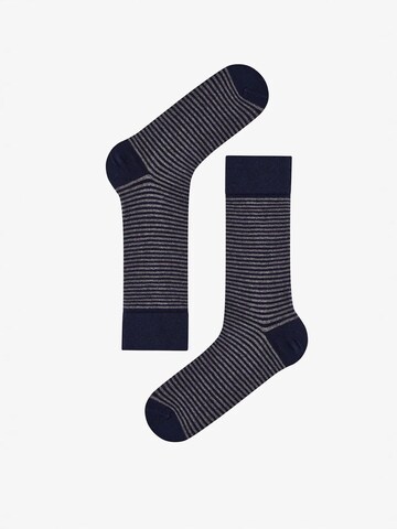 Penti Nogavice 'PENTI Pinestripe Baumwollsocken im 2er-Pack' | modra barva