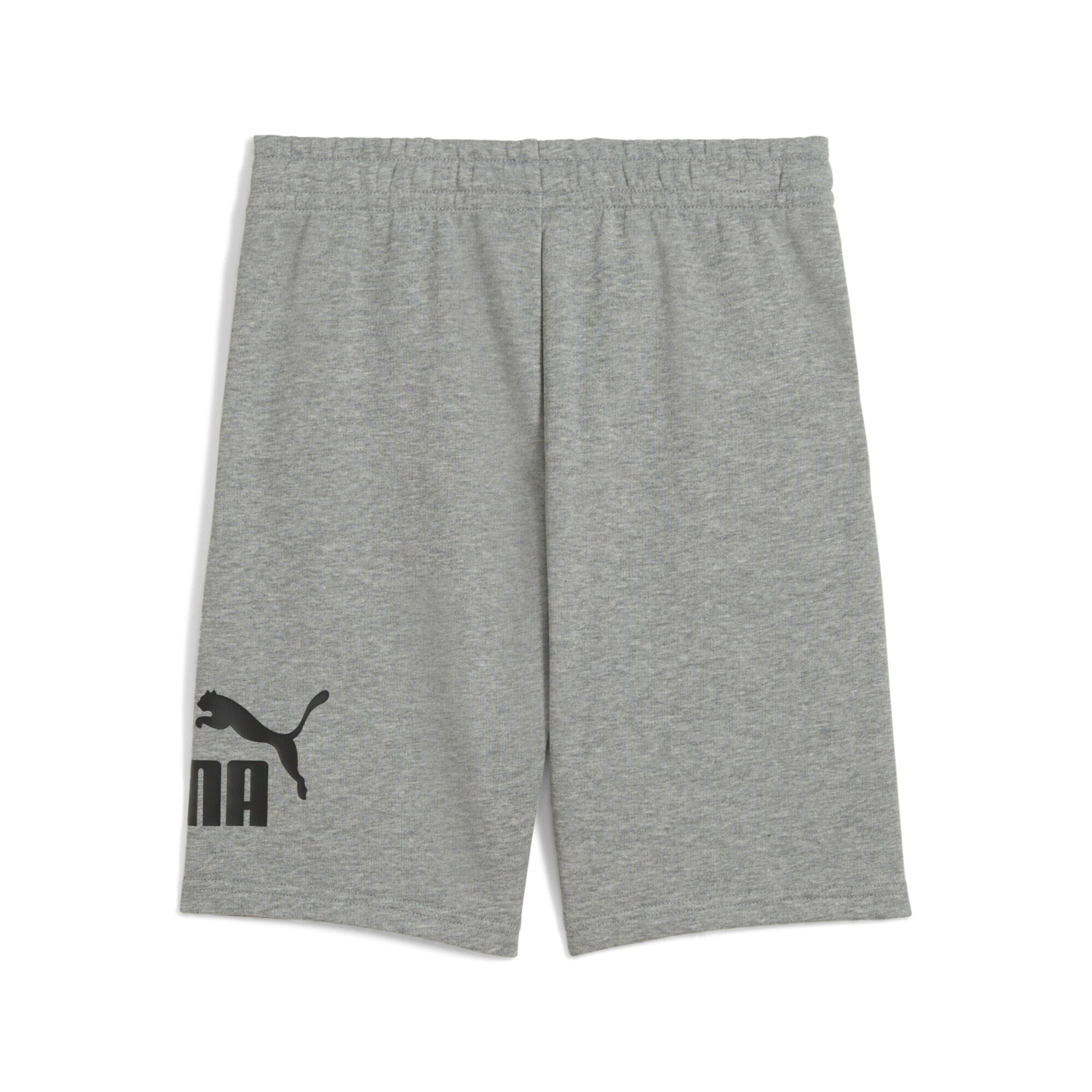 PUMA Loosefit Shorts 'ESS' in Grau
