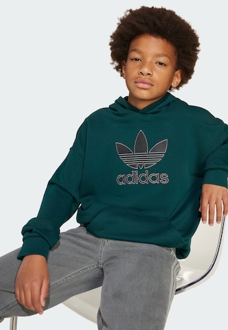 Felpa di ADIDAS ORIGINALS in verde
