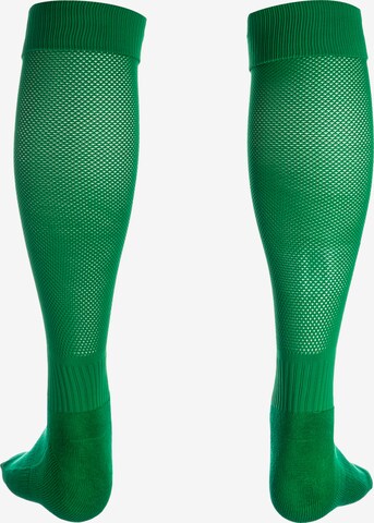 JAKO Soccer Socks 'Glasgow 2.0' in Green