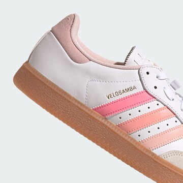 ADIDAS PERFORMANCE Sportschuh 'Velosamba' in Weiß