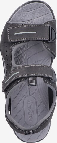 Rieker Hiking Sandals in Grey