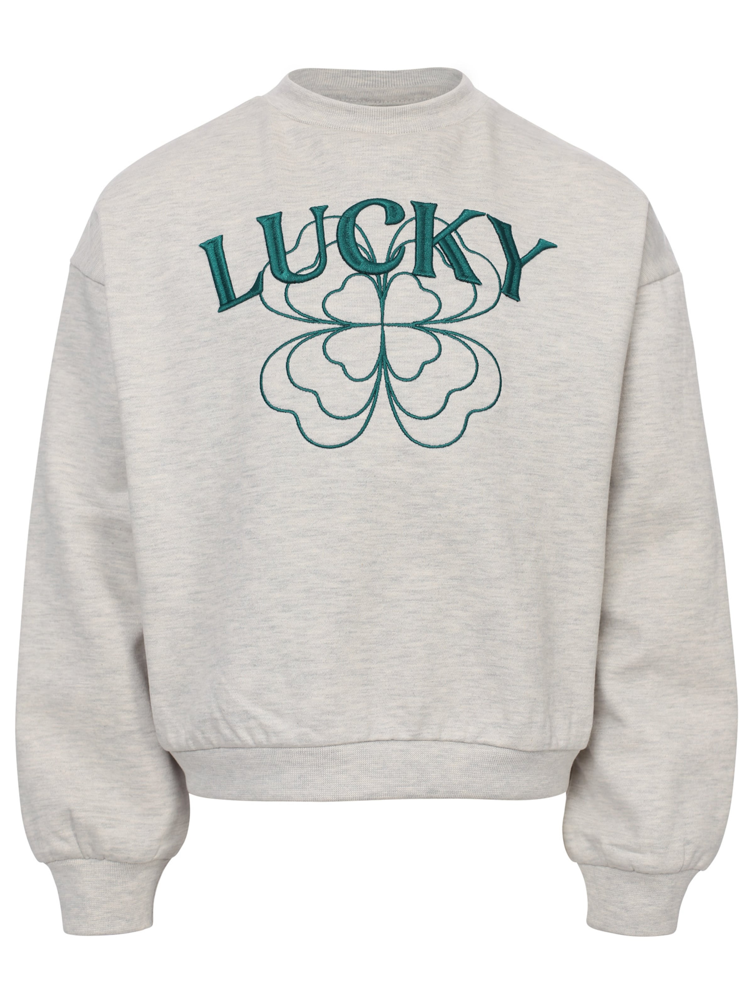 Sweat-shirt Looxs Revolution en gris : devant