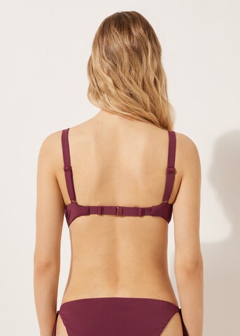CALZEDONIA Push-up Bikini Top 'Indonesia' in Red