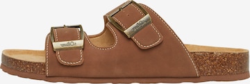 Chaussure à lacets s.Oliver en marron : devant