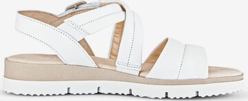 GABOR Strap Sandals in White