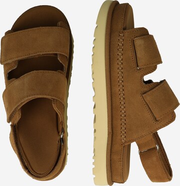 UGG Sandale 'Goldenstar' in Braun