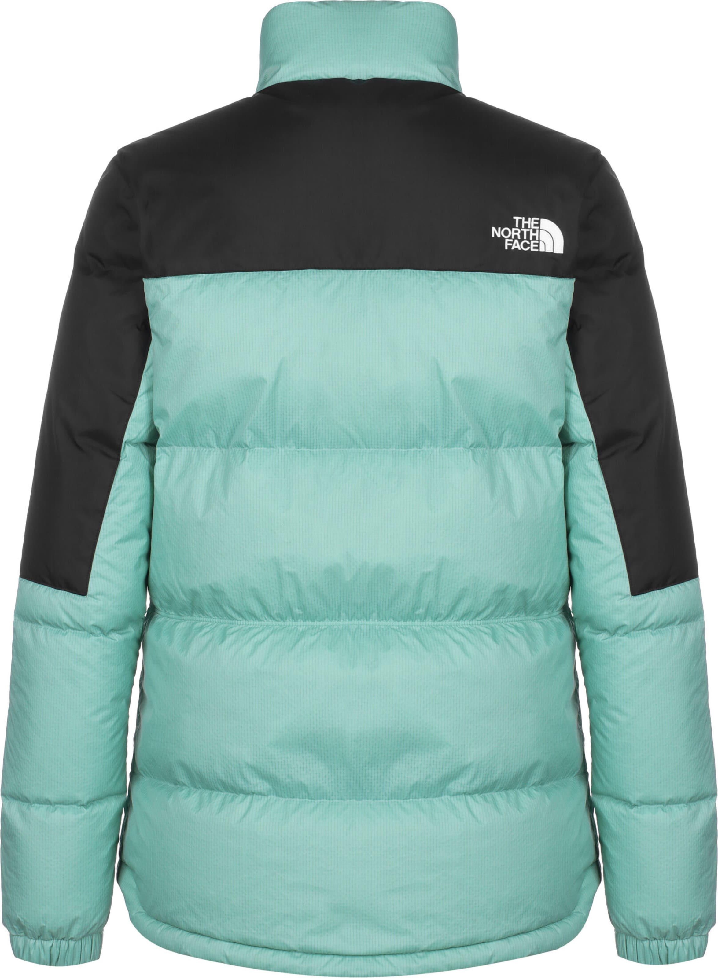 THE NORTH FACE Outdoor Jacket 'Diablo' in Green