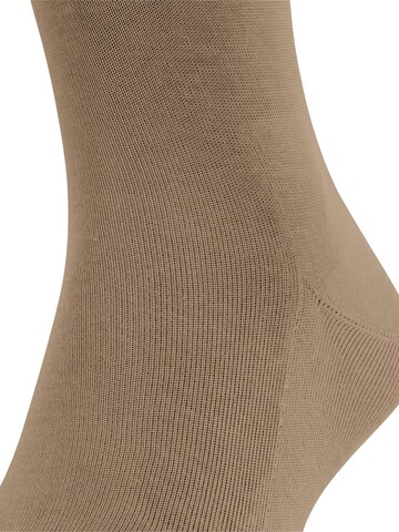 FALKE Knee High Socks 'Tiago' in Beige