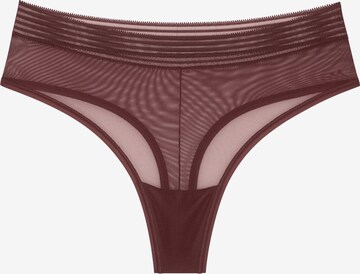 TRIUMPH String 'Tempting Sheer' in Brown