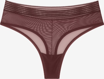 TRIUMPH - Tanga 'Tempting Sheer' em castanho