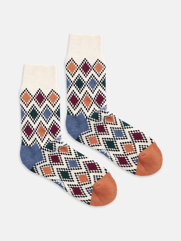 Chaussettes 'Extra Cozy Paul' DillySocks en mélange de couleurs