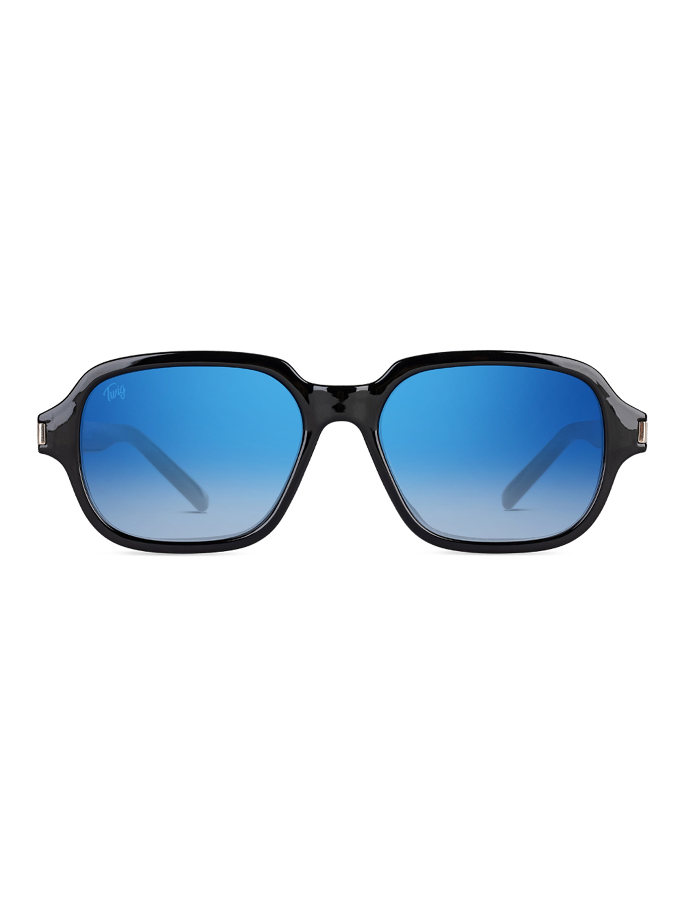 TWIG Concept Milano Sunglasses 'Acosta' in Blue: front