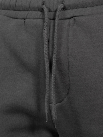 Smilodox Tapered Trousers in Grey