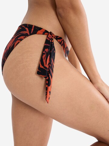 Bas de bikini ' Red Label Summer Palm ' TRIUMPH en marron