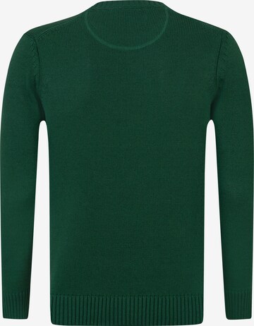 Pullover 'Brian' di DENIM CULTURE in verde