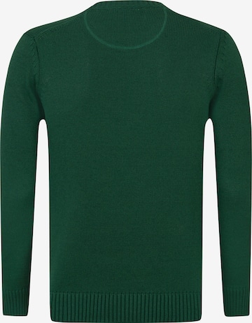 Pullover 'Brian' di DENIM CULTURE in verde