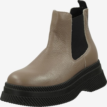STEVE MADDEN Chelsea Boots in Beige: front