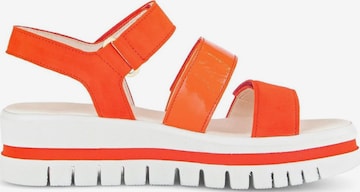 GABOR Sandals in Orange