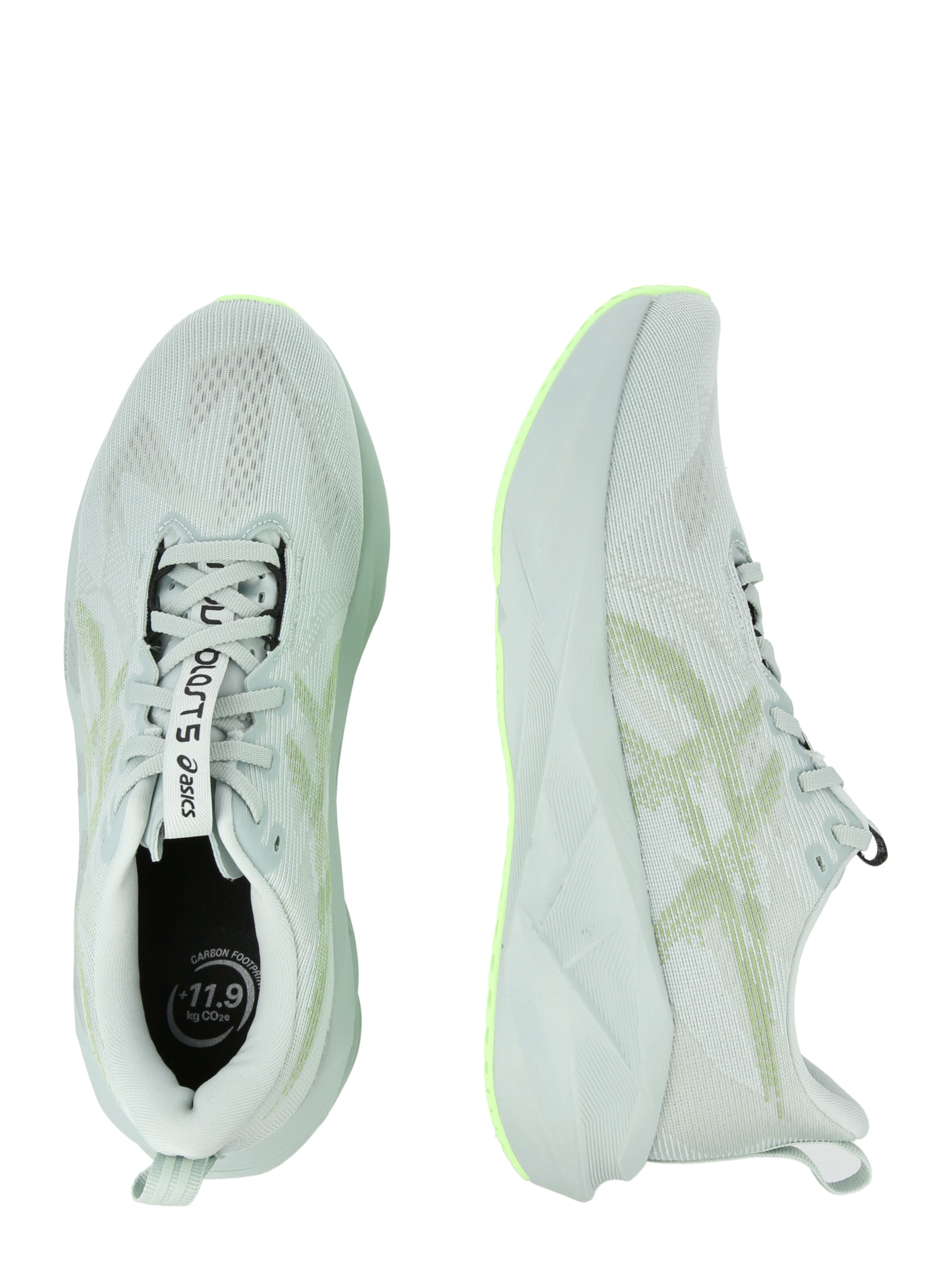 ASICS Tekaški čevelj 'NOVABLAST 5' | zelena barva