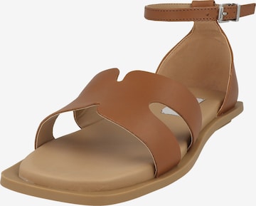 Sandales à lanières ' linder' STEVE MADDEN en marron : devant