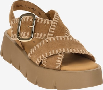 Sandalo di GABOR in marrone: frontale