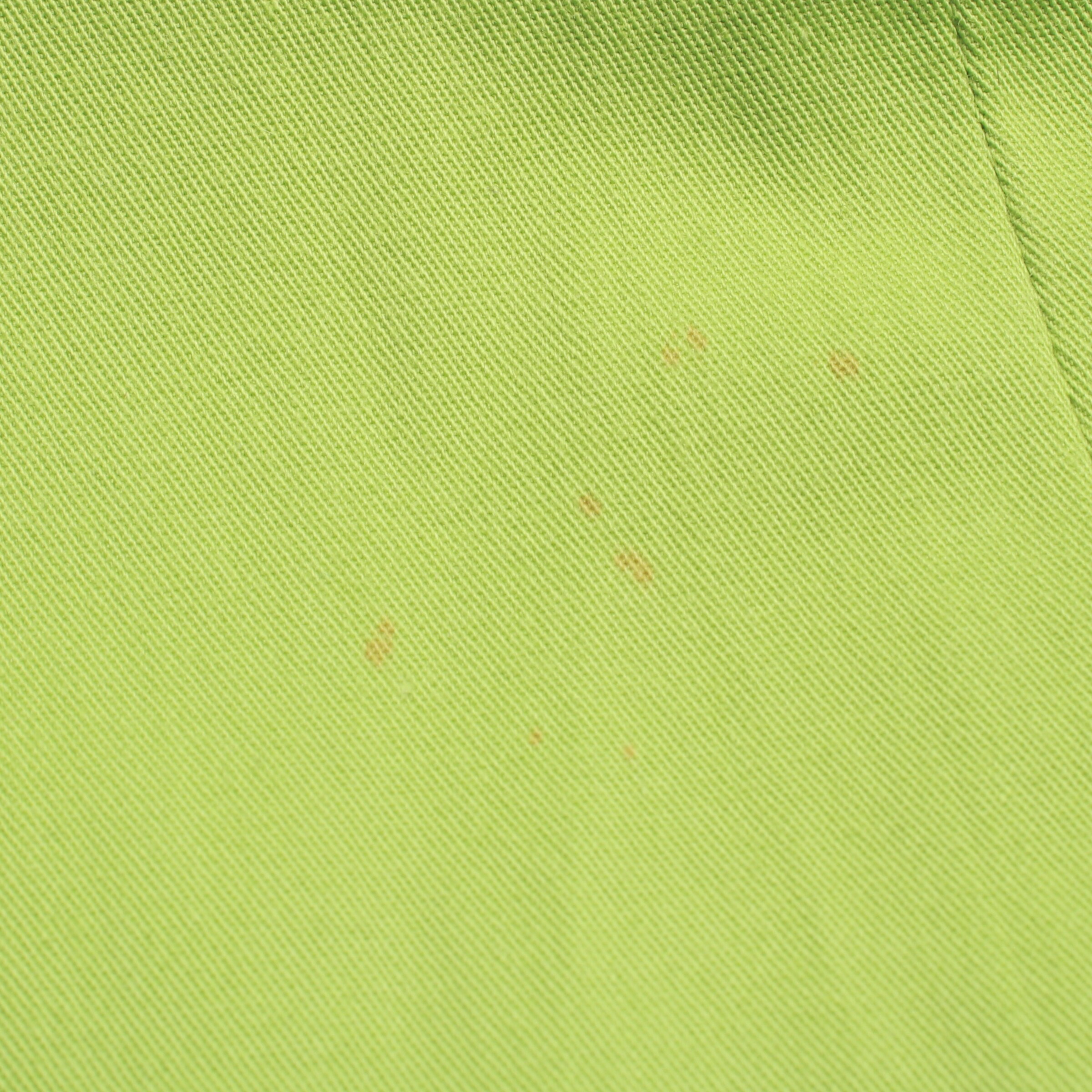 Etro Pants in XS in Green