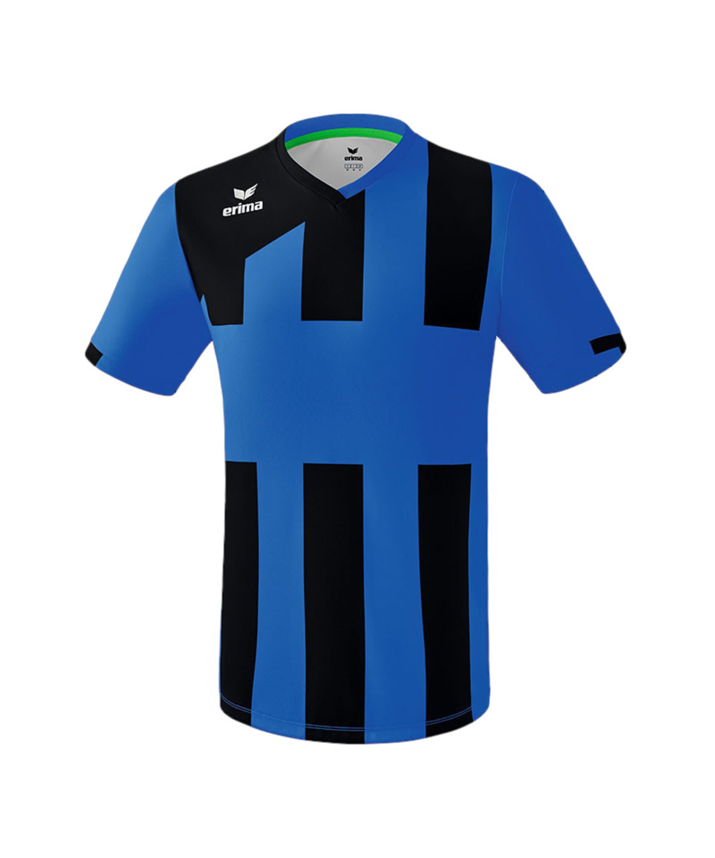 ERIMA Jersey in Blue: front
