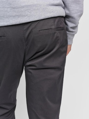 SANVT Regular Chinohose 'The Smart Chino'‌‌‌‌‌ in Grau