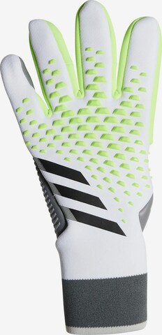 Gants de sport 'Predator Pro' ADIDAS PERFORMANCE en mélange de couleurs