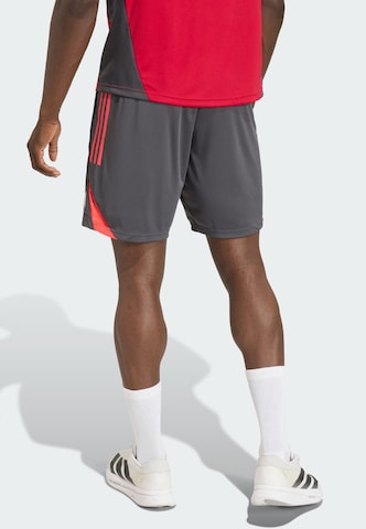 ADIDAS PERFORMANCE - regular Pantalón deportivo 'FC Liverpool Tiro 25 Competition' en gris