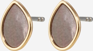 SKAGEN Earrings in Gold: front