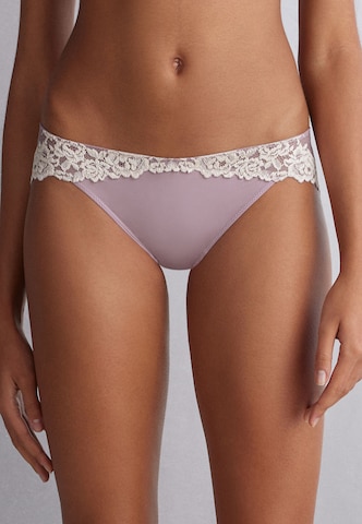 INTIMISSIMI Panty in Purple: front