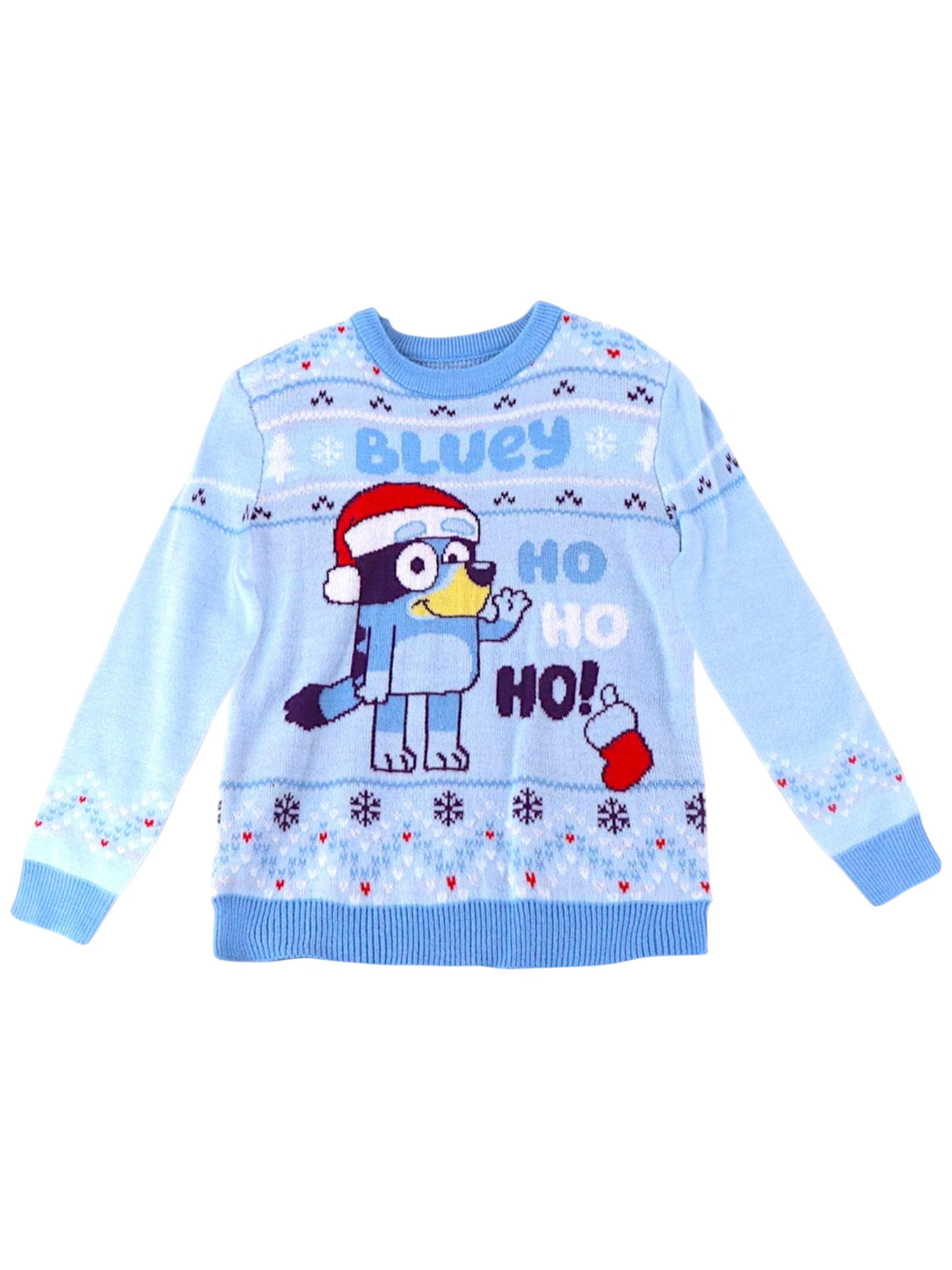 Bluey Sweater in Blue: front