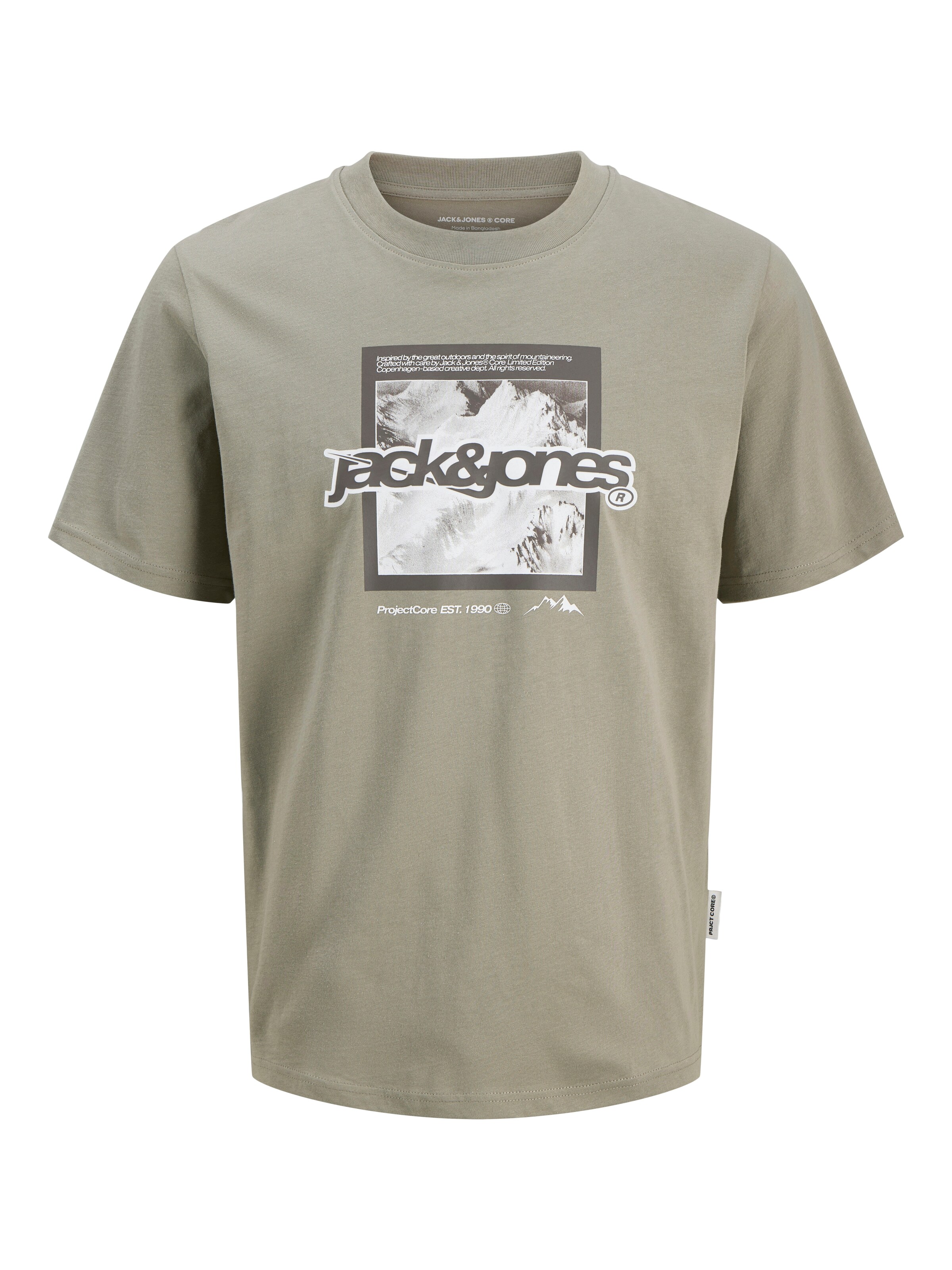 JACK & JONES Shirt 'JCOFLARE' in Green: front