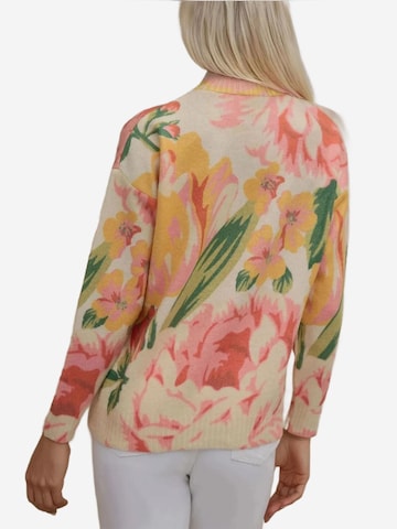 Pull-over Hiccup en mélange de couleurs