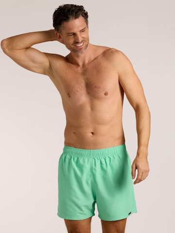 wavebreaker Board Shorts in Green