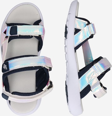 4F Sandals in Blue