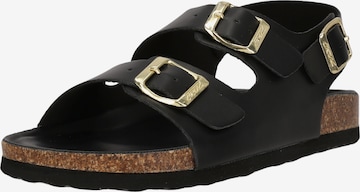 Cruz Sandalen 'Calyx' in Schwarz: Vorderseite
