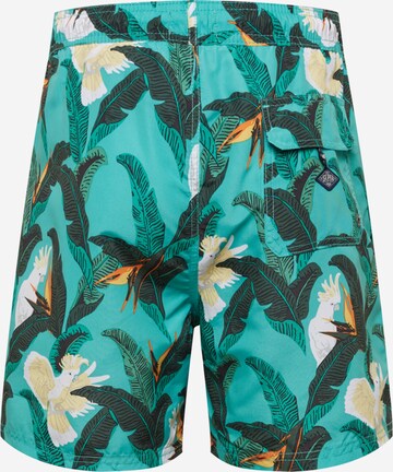 Superdry Zwemshorts in Groen