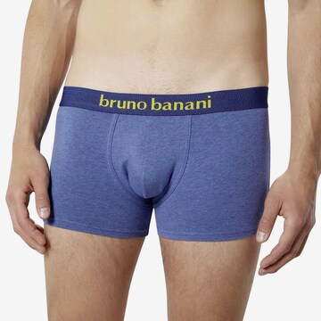 BRUNO BANANI Boxershorts in Blau