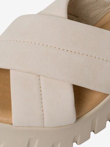 TAMARIS Mules in Beige