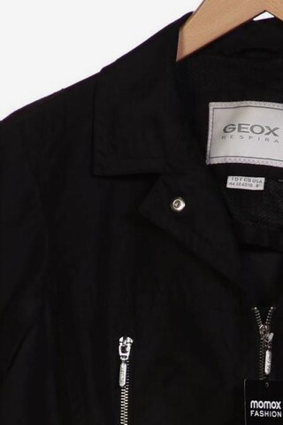 GEOX Jacket & Coat in M in Black