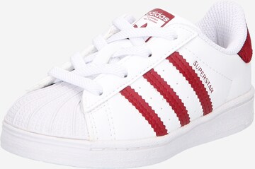 ADIDAS ORIGINALS Sneaker 'Superstar' in Weiß: predná strana