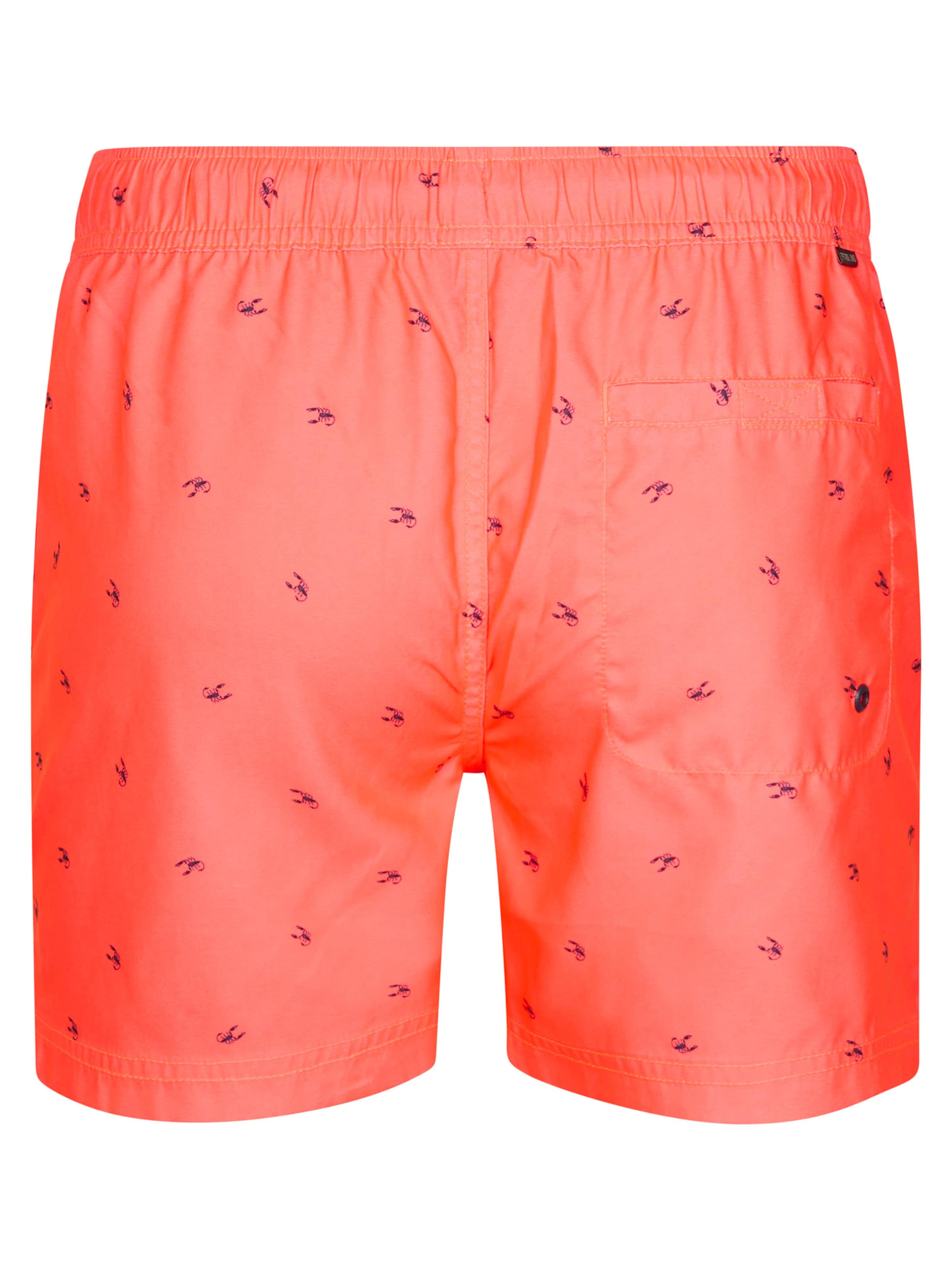 Petrol Industries Zwemshorts 'Relámpago' in Roze