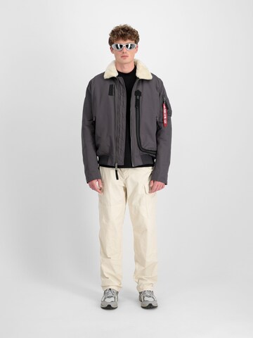 ALPHA INDUSTRIES Winter Jacket 'DA-3' in Grey