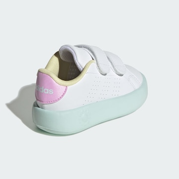ADIDAS ORIGINALS Trainers 'Advantage' in White